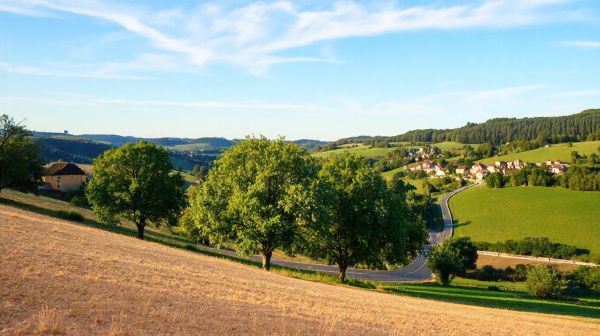 Découvrez les services deTP et transport à Varennes-Vauzelles